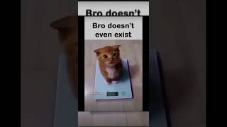 Bro Doesnt Even Exist