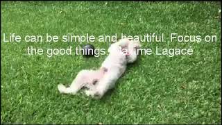 Relaxing baby music, babies and kids sleeping songs with inspiring life quotes.