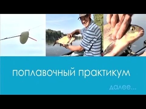 евгений середа статьи о рыбалке евгений середа статьи о рыбалке