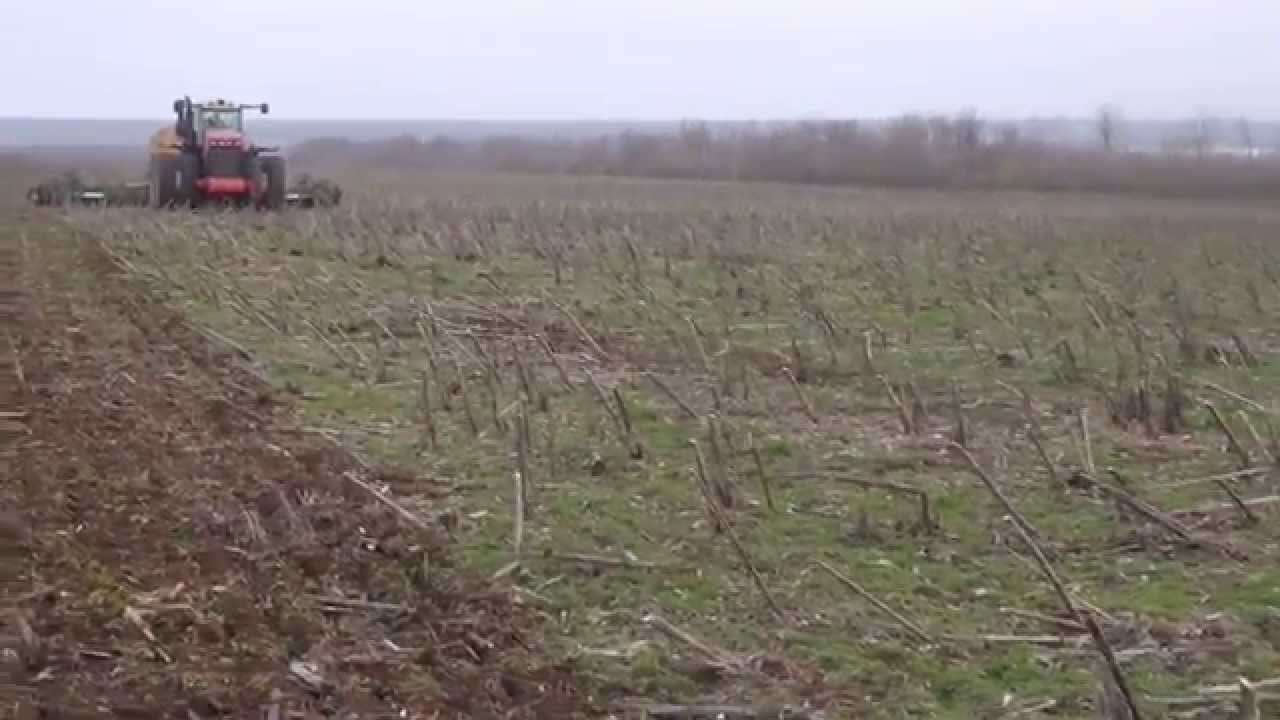 Что такое посев по стерне Что такое посев по стерне