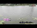 Hoa Thơm Bướm Lượn KARAOKE | Tone Nữ | Nhạc Sống Thanh Ngân #4 Hoa Thơm Bướm Lượn KARAOKE | Tone Nữ | Nhạc Sống Thanh Ngân #4