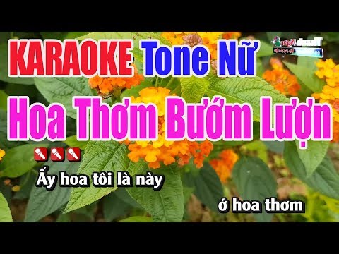 Hoa Thơm Bướm Lượn KARAOKE | Tone Nữ | Nhạc Sống Thanh Ngân Hoa Thơm Bướm Lượn KARAOKE | Tone Nữ | Nhạc Sống Thanh Ngân #1