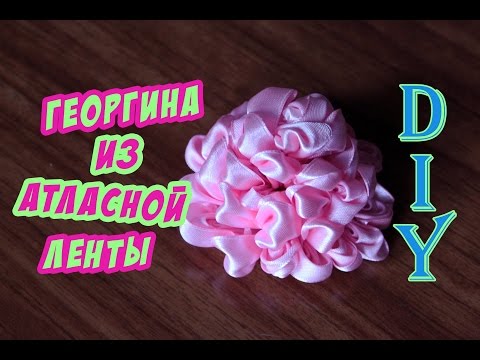 Мастерим красивые поделки из шишек своими руками. Описание Лечение соком алоэ: для лица, для волос, от прыщей
