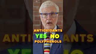 Unveiling The Power Of Polyphenols Exploring Their Benefits And Functions