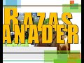 ganado leche