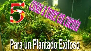 5 cosas para un plantado exitoso.