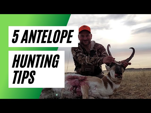 Watch Antelope Hunting Tips | Top 5 on YouTube.