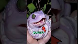 Top 3 Cutest Baby Animals That Turn Into Beasts As Adults