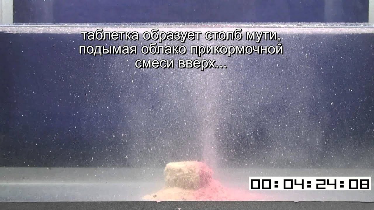 Технопланктон 25 Технопланктон 45