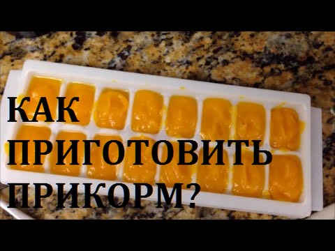 приманка из тыквы приманка из тыквы