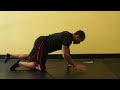 Bird Dog - Back Strengthening Exercise