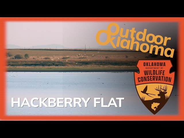 Watch Hackberry Flat on YouTube.