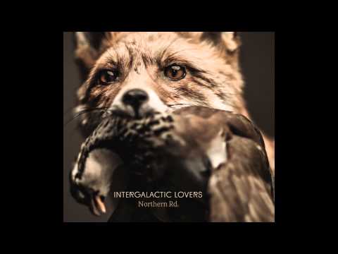 Intergalactic Lovers - Northern Rd.