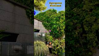 Irelands Most Charming Courtyard