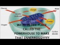 Gotta get that ATP - Biology Song Gotta get that ATP - Biology Song