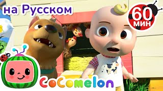 Бинго на Ферме 🧺 | Сборник 1 час | CoComelon на русском — Детские песенки