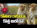 Farmer Finds Unique Way to Protect Fields From Monkeys | V6 News