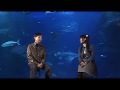 桃華月憚 - Interview映像「華想放談」 ( 望月智充 × 清水愛 ) - Part 3.avi