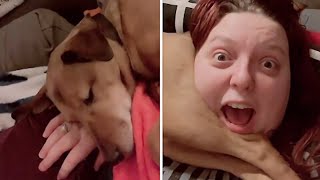 Sleeping Dog Totally Farts On Owners Head
