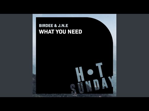 What You Need (Extended Mix)
