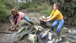 Top Videos: Fishing Technology, Unique Fishing, Survival Skill To Catch Big Fish - Fishing Exciting