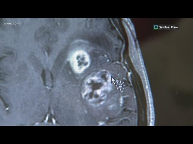 BrIC Lab's research highlights