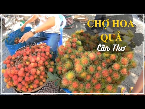 Chợ hoa quả miệt vườn Cần Thơ - Khám phá ẩm thực đường phố miền Tây