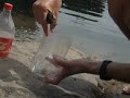 Recipiente botella cocacola - youtube