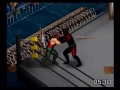 Pro Wrestling