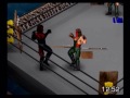 Pro Wrestling