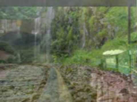 nature.3gp