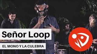 Watch Senor Loop El Mono Y La Culebra video
