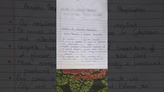 Aerobic Vs Anaerobic Respiration