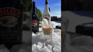 The Bmw Tail Baileys Malibu Whiskey