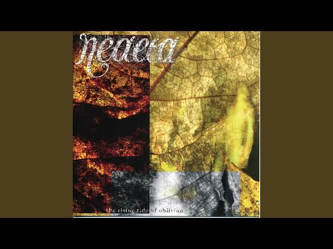 Hibernating Reason Video