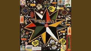 Watch Steve Earle My Back Pages video