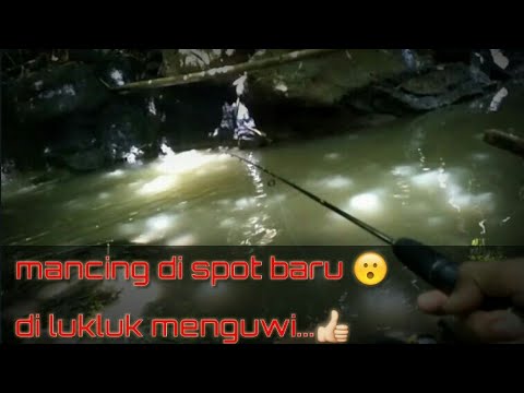mancing nilem di spot yang baru yang ada di lukluk menguwi 👍👍👍