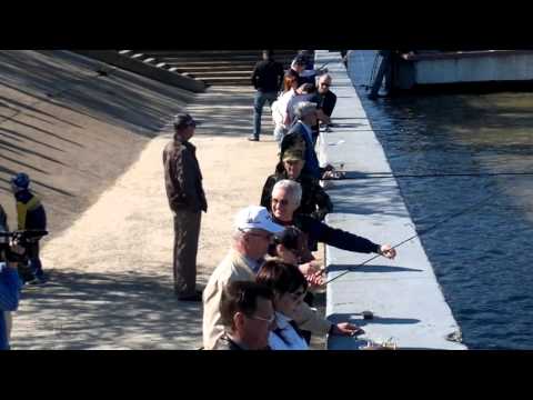 рыболовный фестиваль астрахань рыболовный фестиваль астрахань