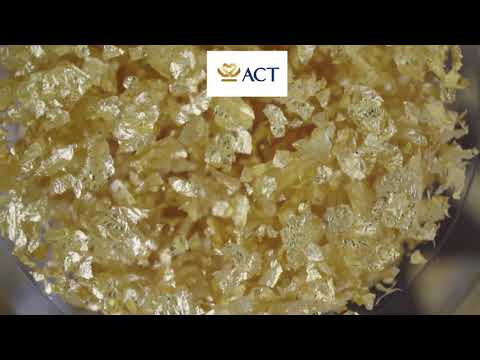 ACT GOLD Bộ ly uống rượu cao cấp đúc vàng