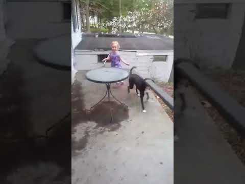 Leaf Video