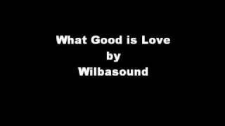 Watch Wilbasound What Good Is Love video