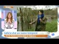 Reportera se cae al río en directo - Mariló Montero , Por la mañana - TVE | Sigüeiro - A Coruña