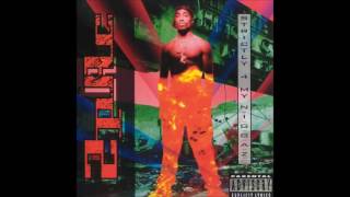 Watch Tupac Shakur Strictly 4 My NIGGAZ video