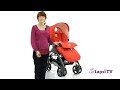 Прогулочная коляска Inglesina Zippy All Over (Инглезина Зиппи Ол Овер)