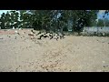 TT a St Cyr en Val le 16.04.2011 USMM45 GoPro HD.mp4