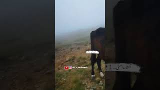 Axtarma Meni...