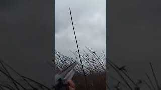 Parlama Ördek Vuruş Anı