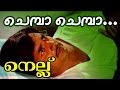 Chemba Chemba... | Superhit Malayalam Movie | Nellu | Movie Song