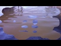 Search Recovery Paddle Board Paddle Search Recovery Paddle Board Paddle