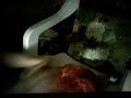 leech woman wake up test